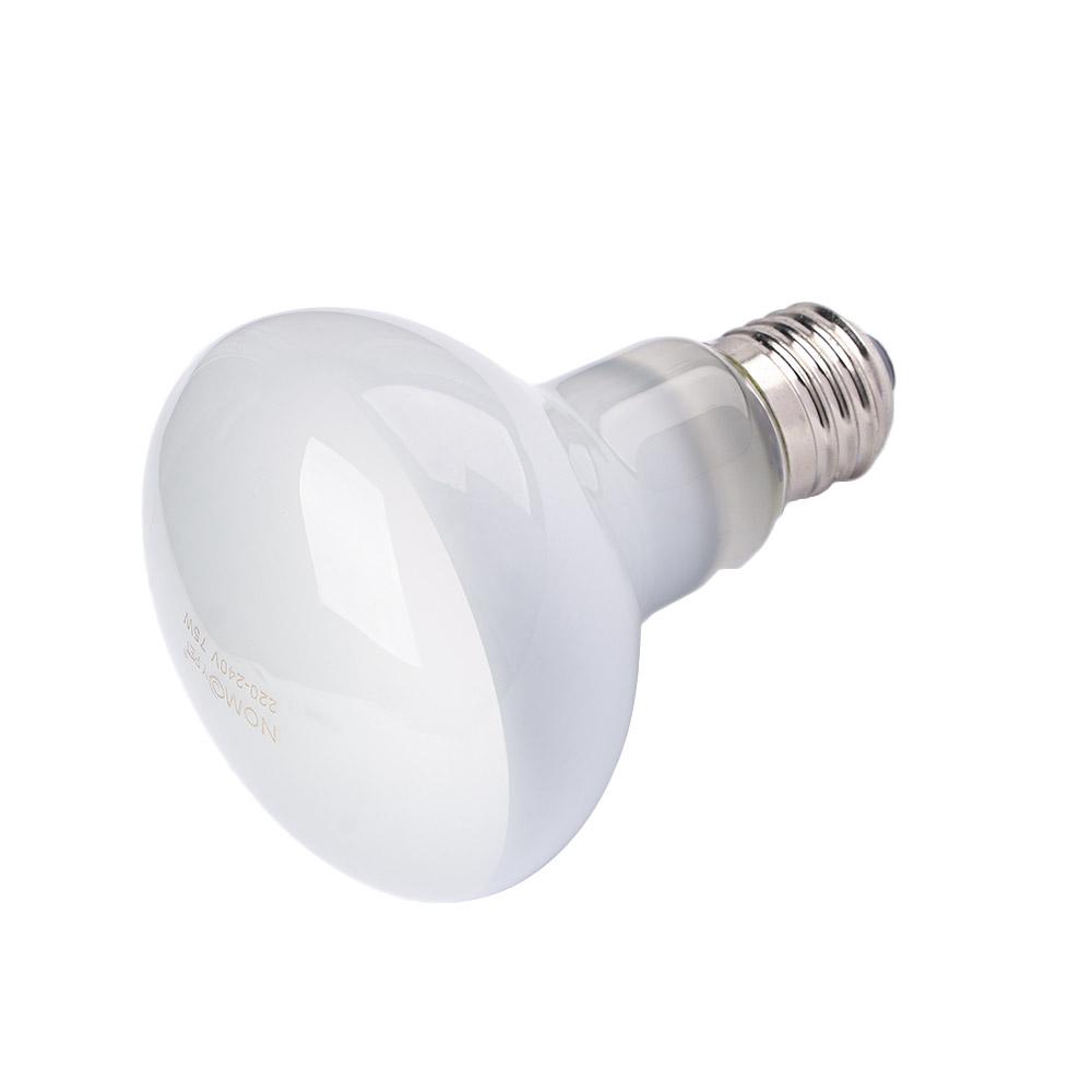 Lizard Heater Temperature Cont - Basking Bulb Halogen review and price