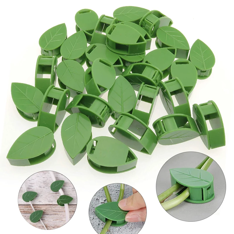 1-50Pcs invisible plant wall c - Vine Climbing Plastic review and price