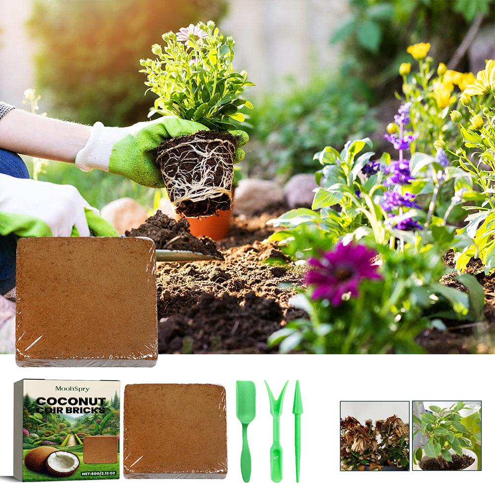Reptile Coconut Soil Coir Pres - Substrate Coconut Fiber review and price