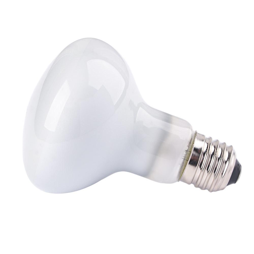 Lizard Temperature Controller  - Basking Bulb Halogen review and price