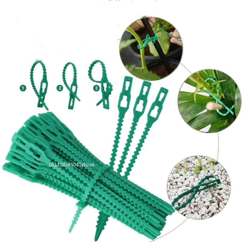 50-1000pcs Adjustable Plastic  - Vine Climbing Plastic review and price