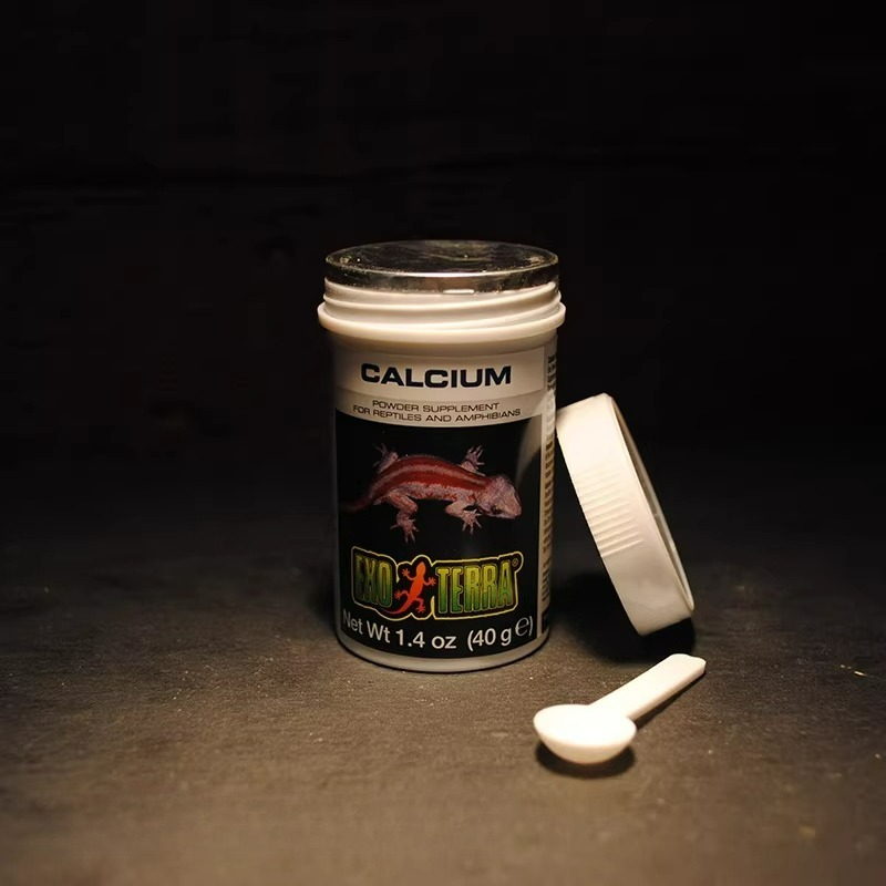 HAGEN Reptile Calcium Powder W - Calcium Powder Reptile review and price