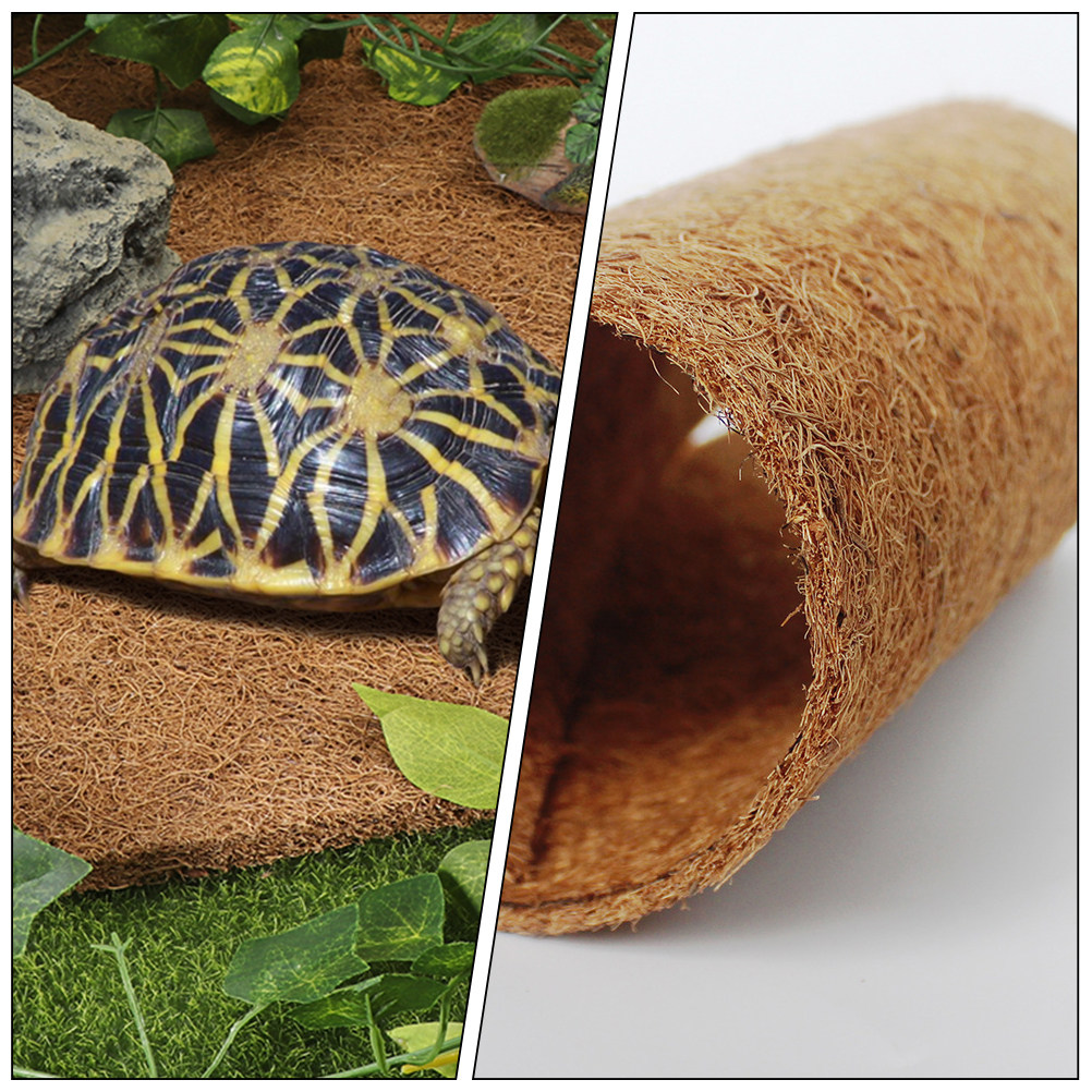 Coconut Substrate for Reptile  - Substrate Coconut Fiber review and price
