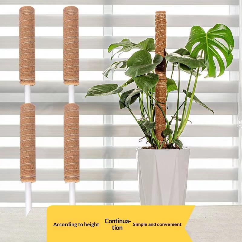 1Pcs Plant Growth Traction Rod - Vine Climbing Plastic review and price