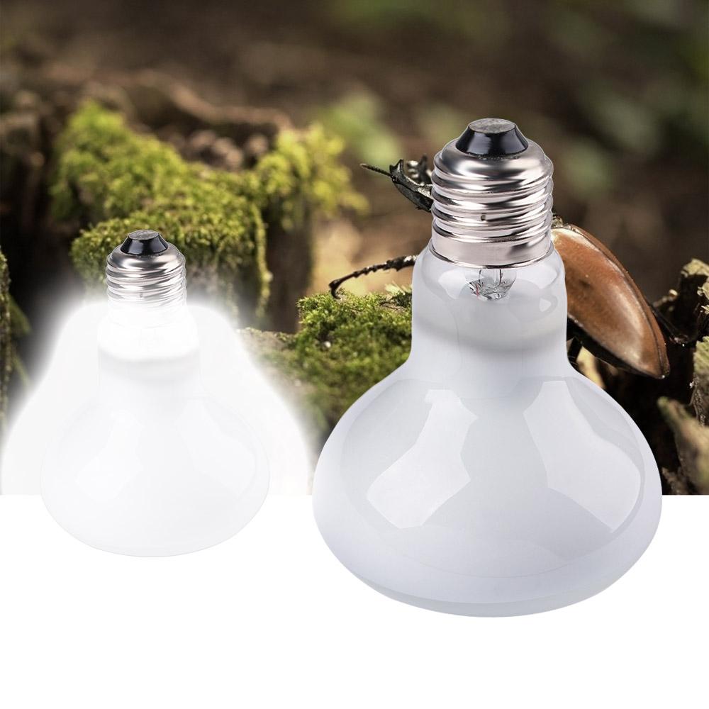 Turtle Heater Heat Lamp Reptil - Basking Bulb Halogen review and price