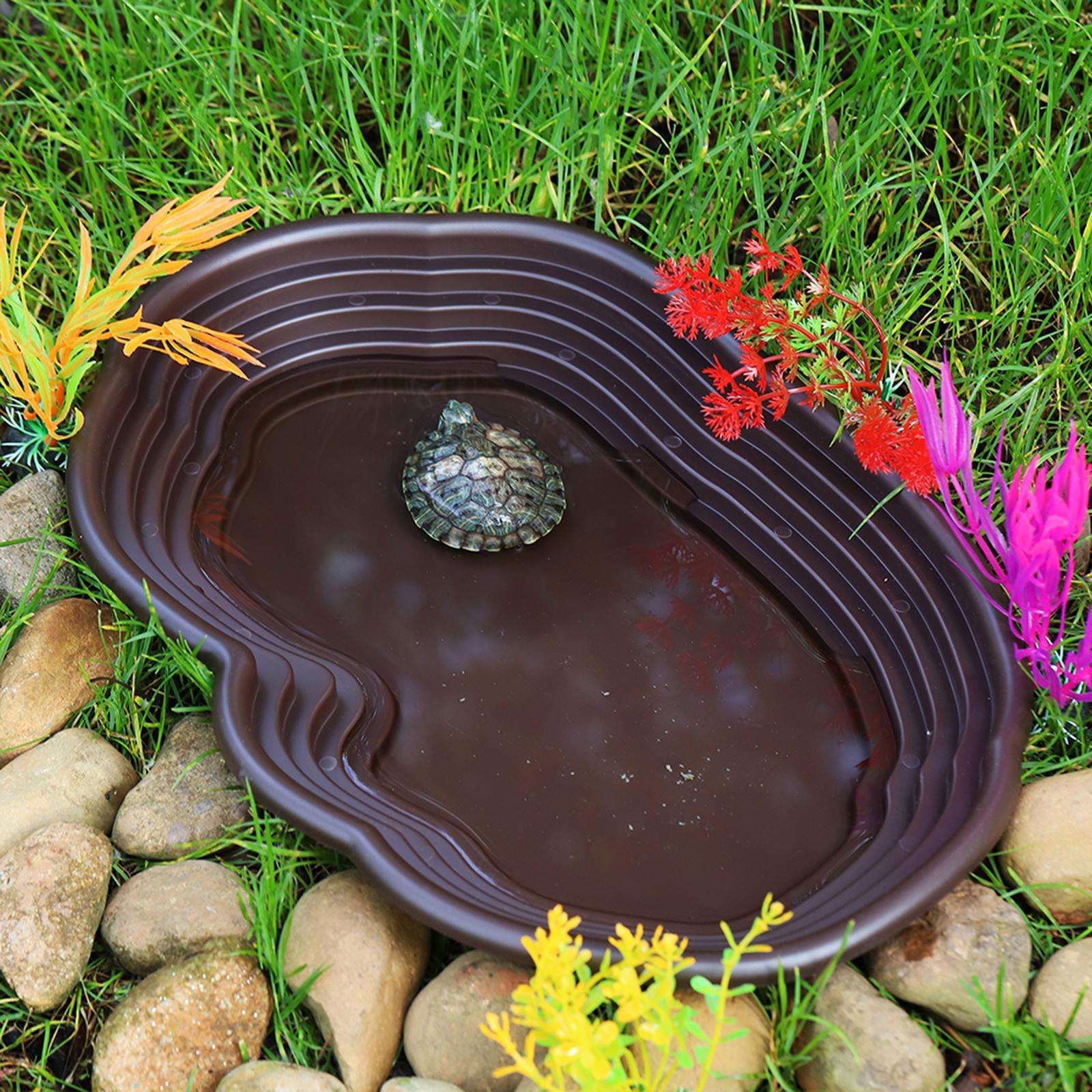 Reptile Bathing Dish Tortoise  - Water Dish Reptile review and price