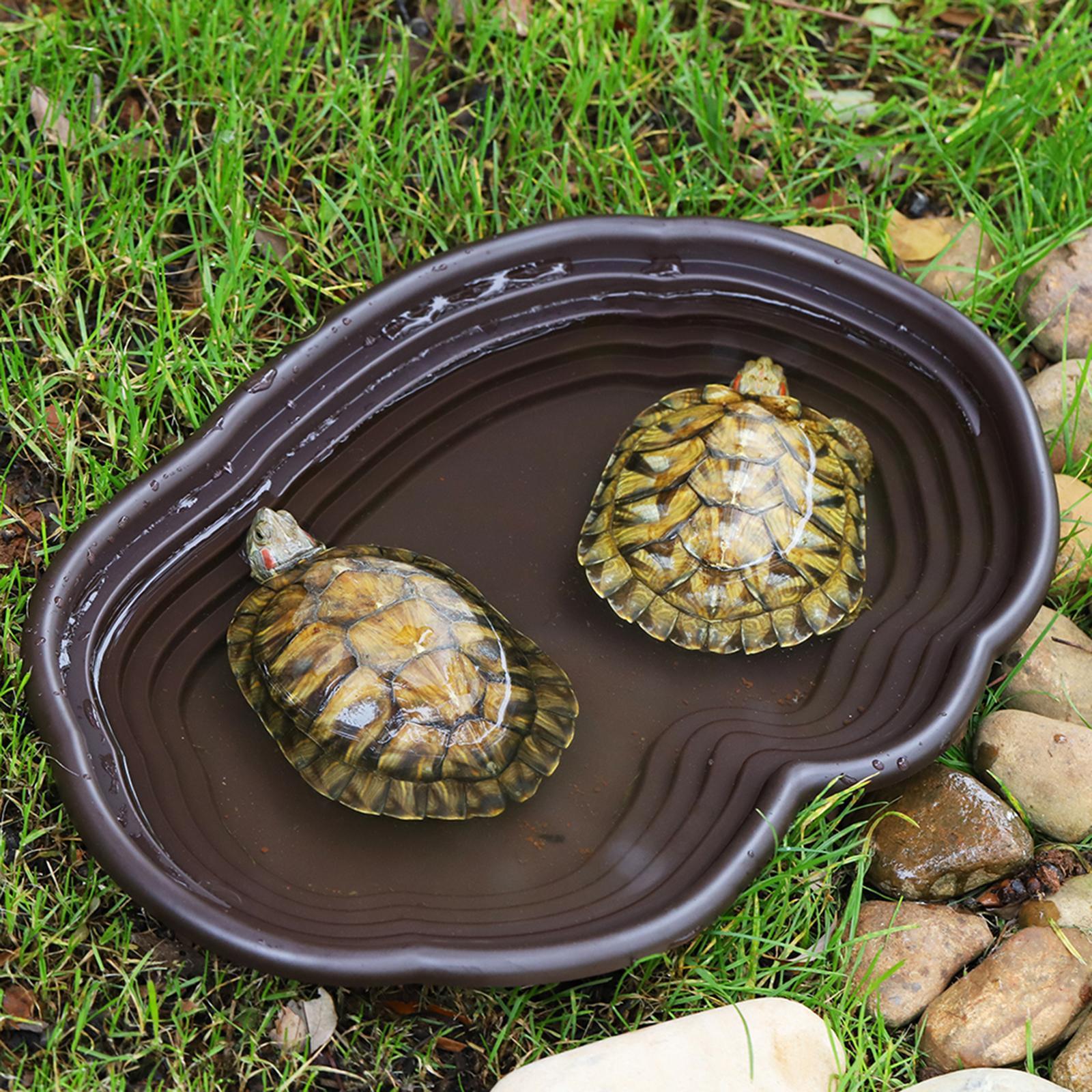 Reptile Bathing Dish Tortoise  - Water Dish Reptile review and price