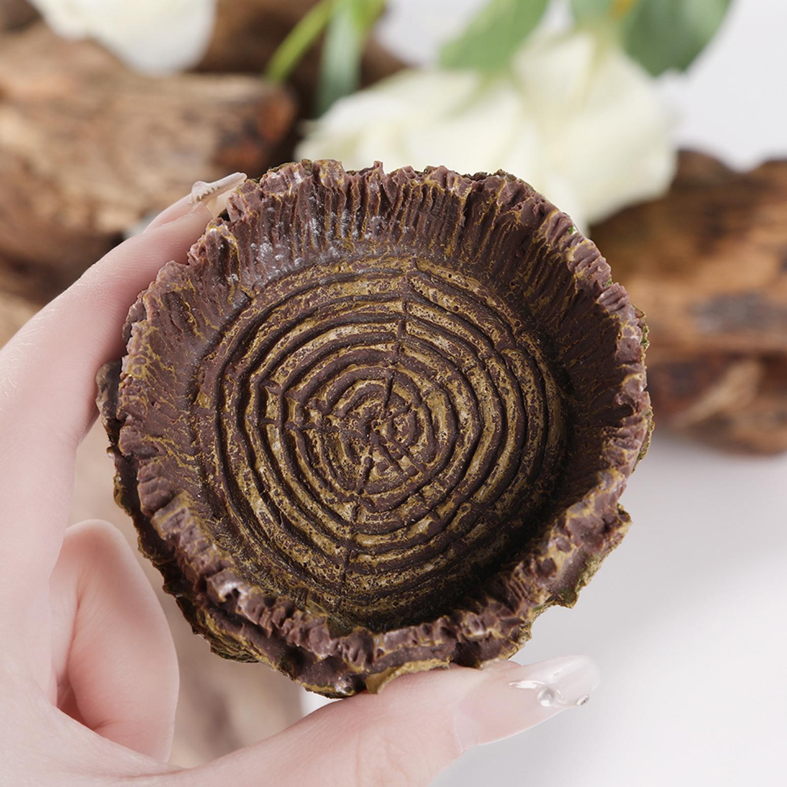 Reptile Bathing Dish Tortoise  - Water Dish Reptile review and price