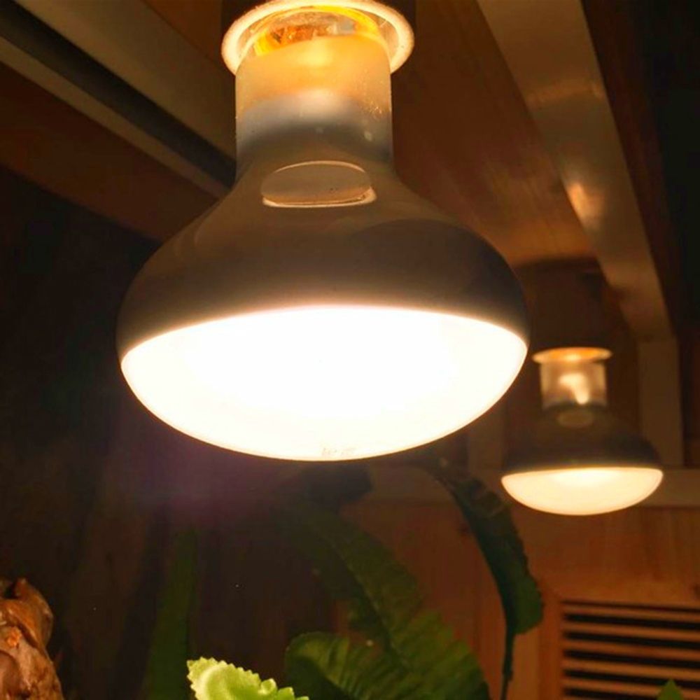 Turtle Heater Temperature Cont - Basking Bulb Halogen review and price