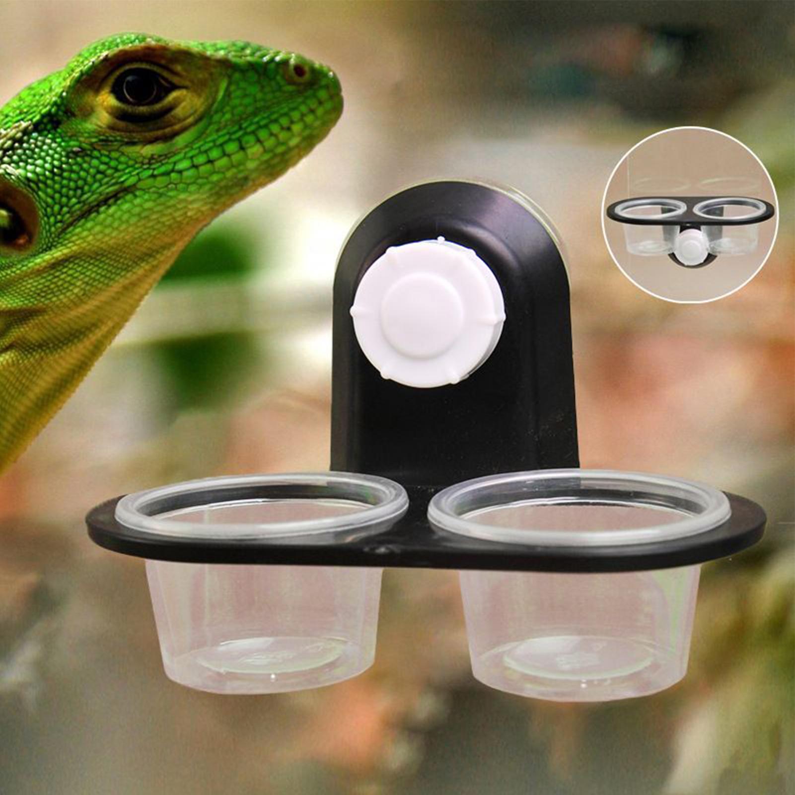Gecko Food Dish Gecko Water Di - Water Dish Reptile review and price