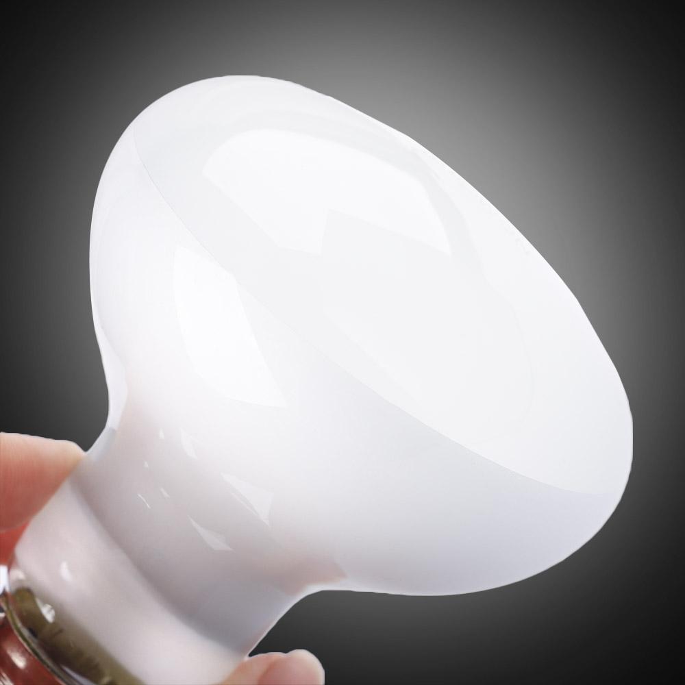 Turtle Heater Temperature Cont - Basking Bulb Halogen review and price