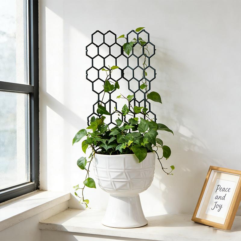 1/5Pcs Honeycomb Design Plant  - Vine Climbing Plastic review and price