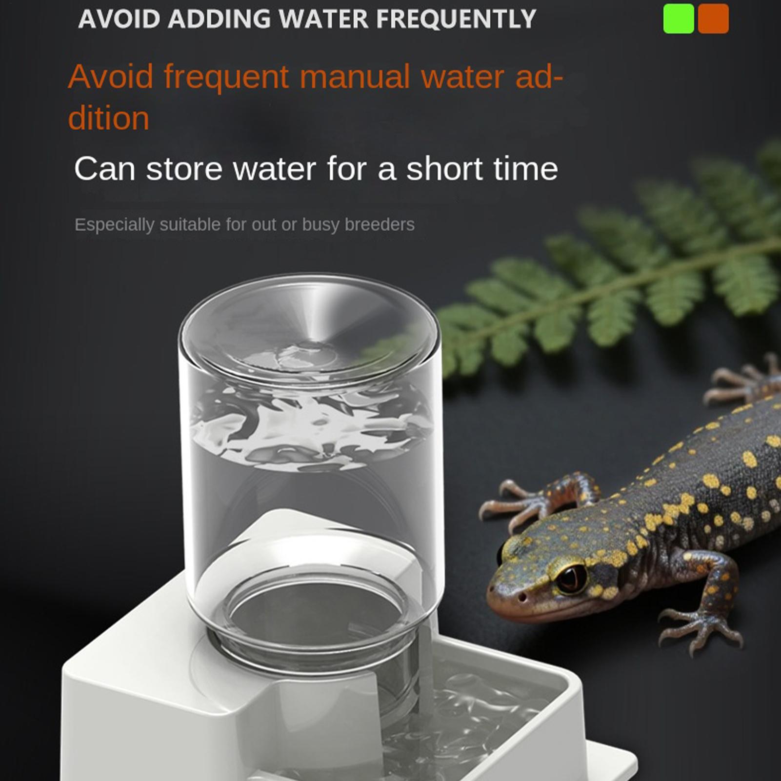 Bearded Dragon Water Fountain  - Water Dish Reptile review and price