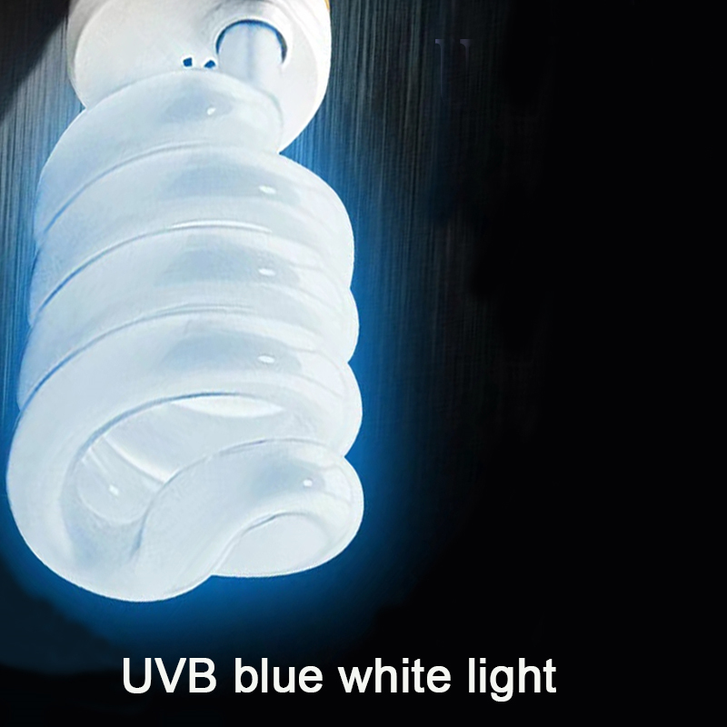 E27 13W/26W Reptile Uvb Lamp   - Calcium Powder Reptile review and price