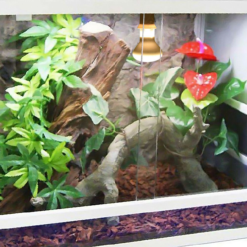 Turtle Temperature Controller  - Basking Bulb Halogen review and price