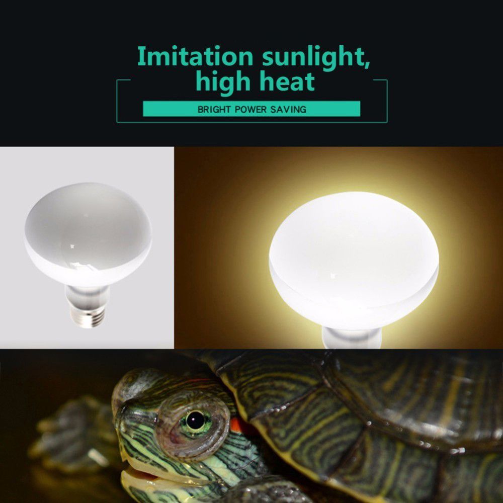 Amphibians Heat Lamp Temperatu - Basking Bulb Halogen review and price