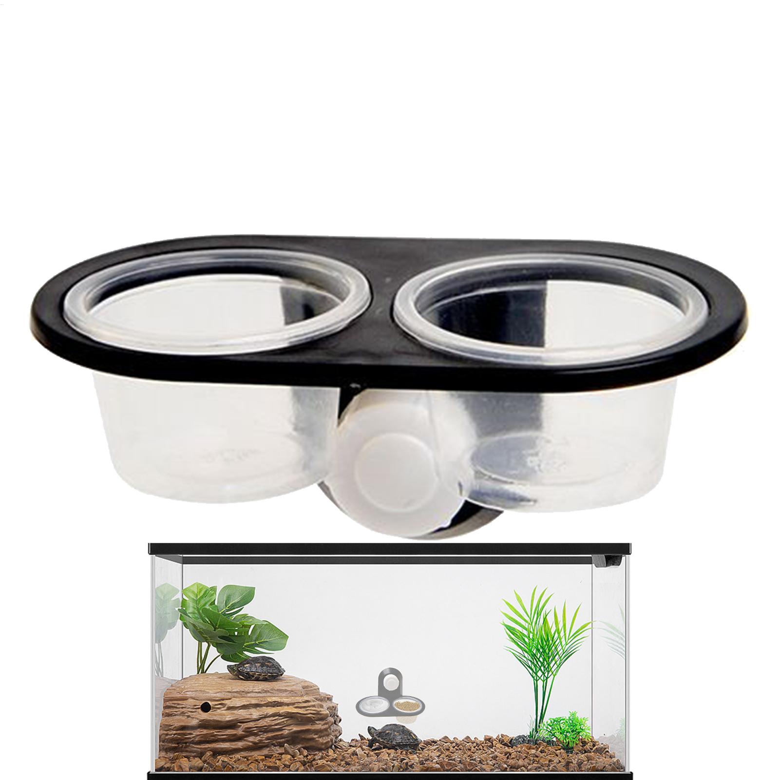 Gecko Food Dish Water Dish for - Water Dish Reptile review and price