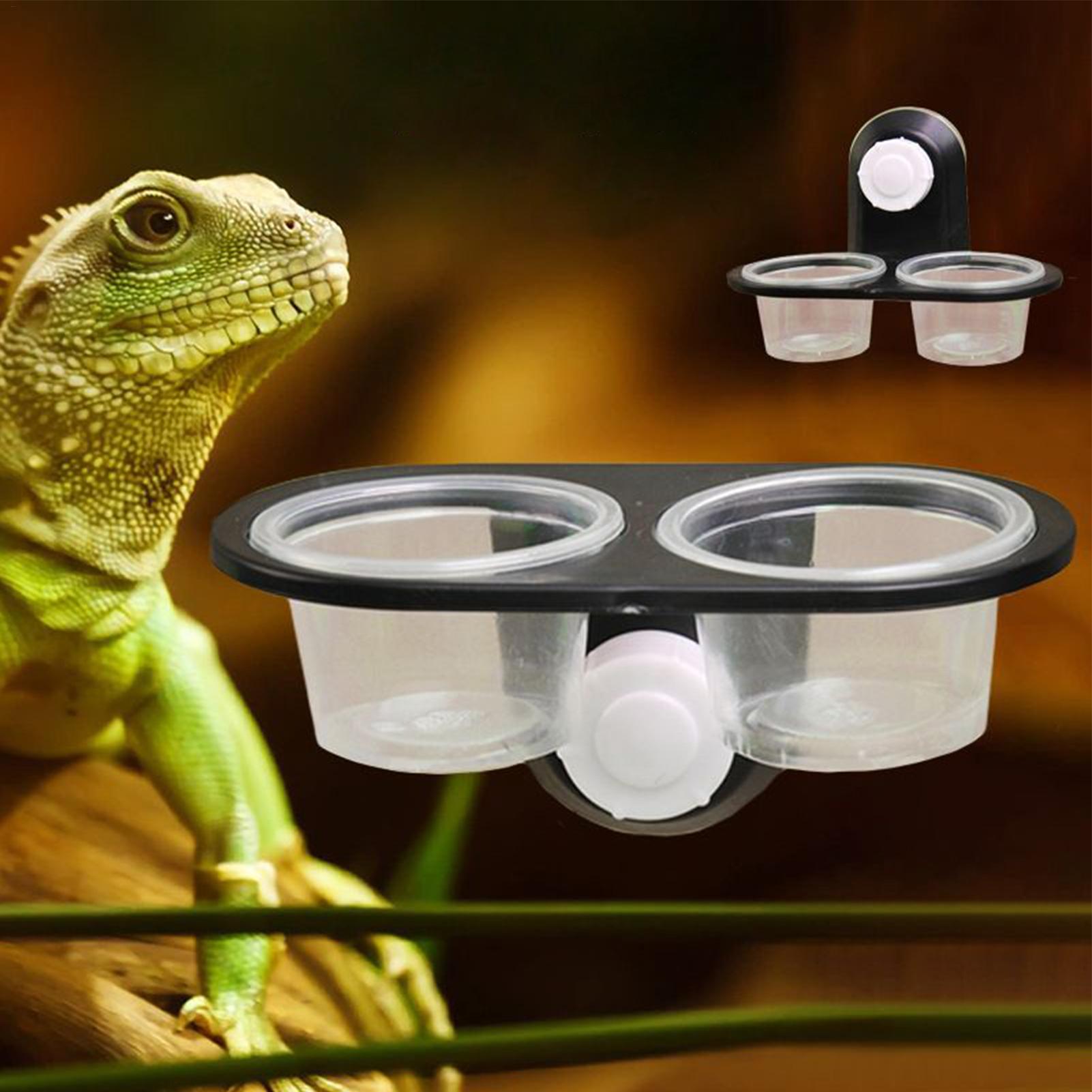 Gecko Food Dish Water Dish for - Water Dish Reptile review and price