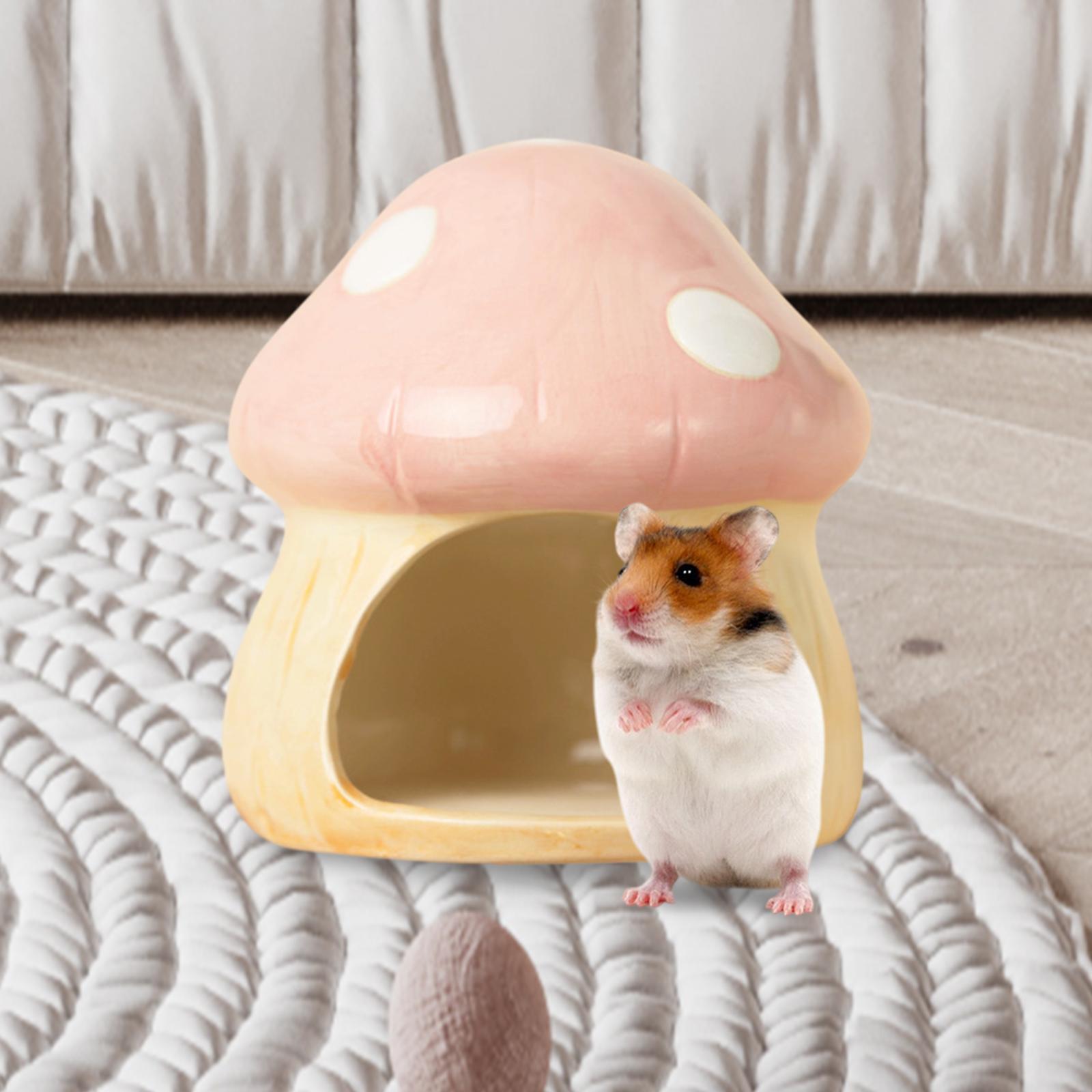 Ceramic Mushroom Hamster Hideo - Hide Cave Ceramic review and price