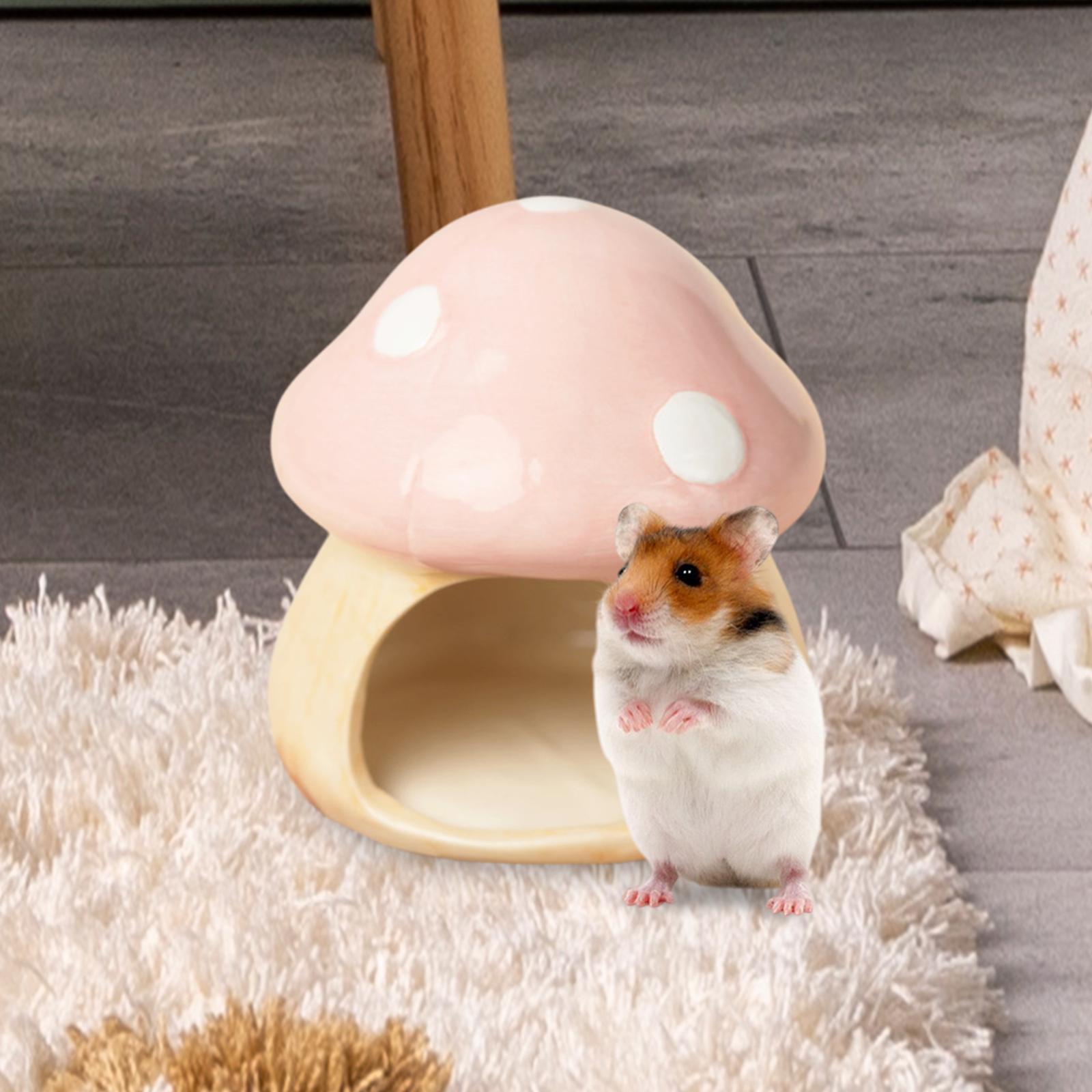 Ceramic Mushroom Hamster Hideo - Hide Cave Ceramic review and price